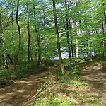 Hébergement de vacances Pod Debami Bogaczewo *