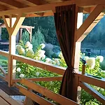 Pod Debami Bogaczewo Hébergement de vacances *