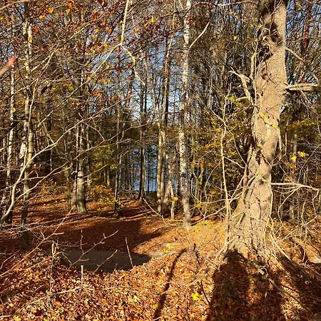 Pod Dębami Bogaczewo Dom wakacyjny *
