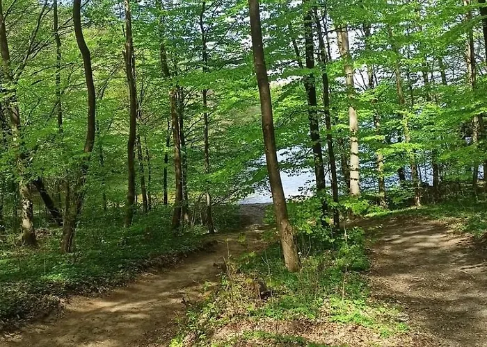 Dom wakacyjny Pod Dębami Bogaczewo *